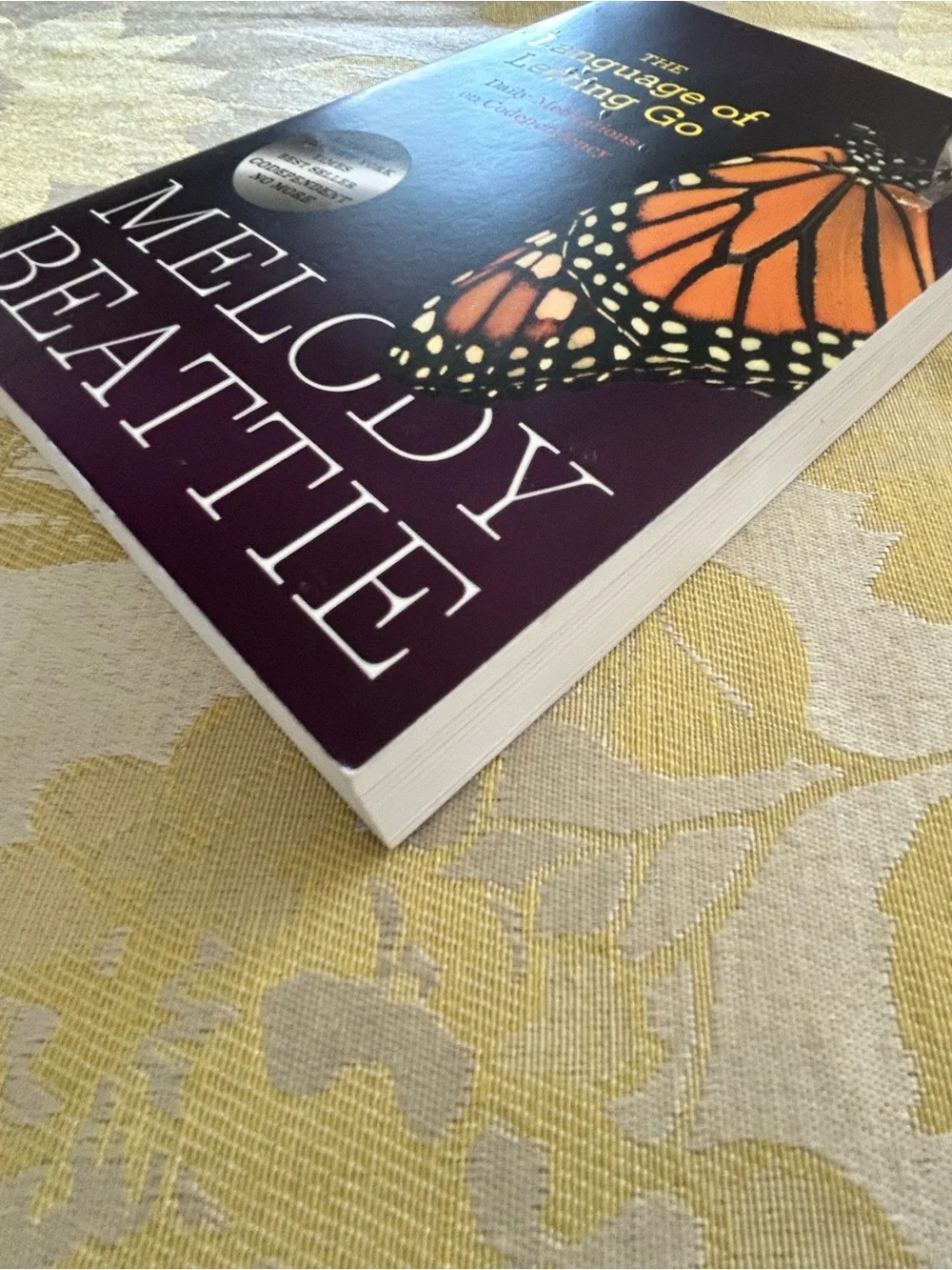Melody Beattie language letting